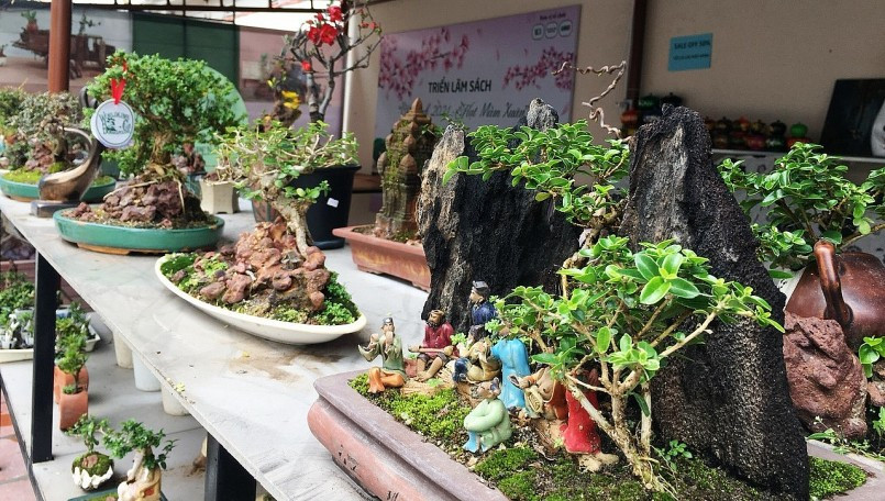 Trong nghệ thuật chơi bonsai mini, ông Phúng luôn gửi gắm thông điệp bảo vệ môi trường. Ảnh: Thuonghieusanpham