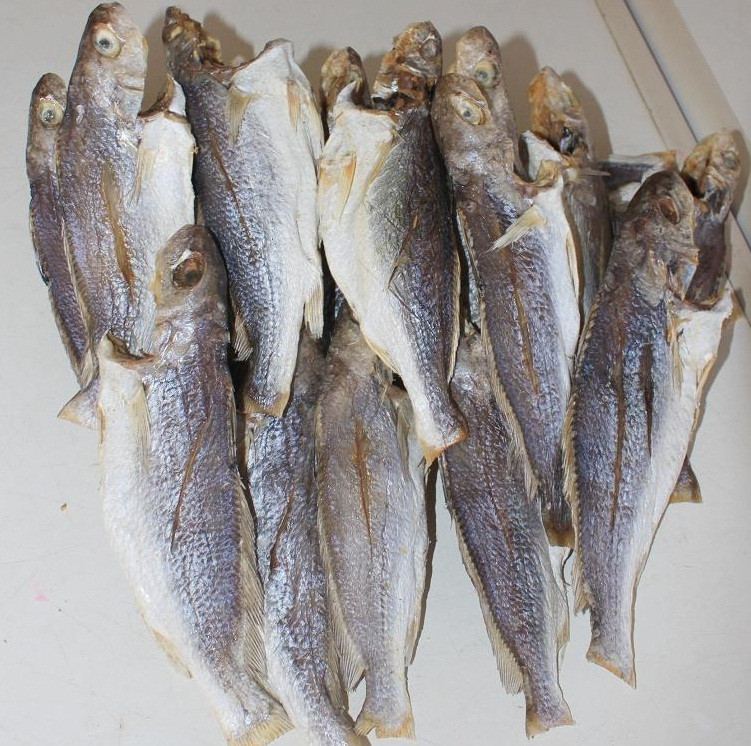 Nhưng mấy năm gần đây, người dân làng chài chế biến ra khô cá đù, cá đù 1 nắng được xem như đặc sản vùng biển. Ảnh: Dân Việt