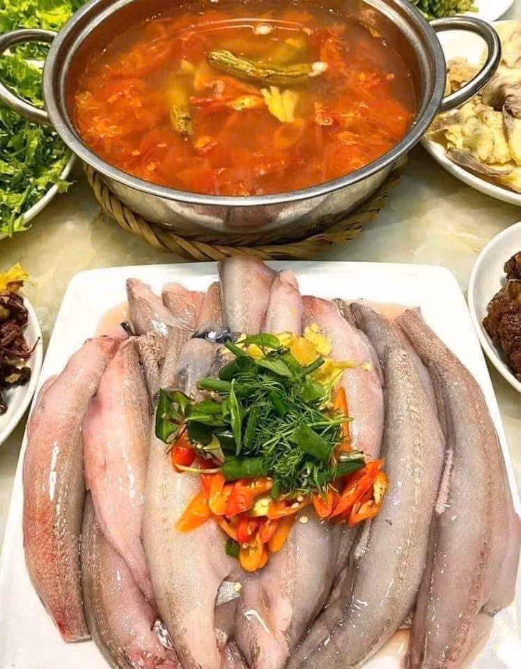 Cá khoai thu mua tại biển khá rẻ nhưng khi vận chuyển vào trong đất liền giá dao động từ 170.000-320.000 đồng/kg. Thậm chí, dịp cận Tết, số lượng cá khoai khan hiếm hơn đẩy giá cao tới 400.000-500.000 đồng/kg. Ảnh: Facebook