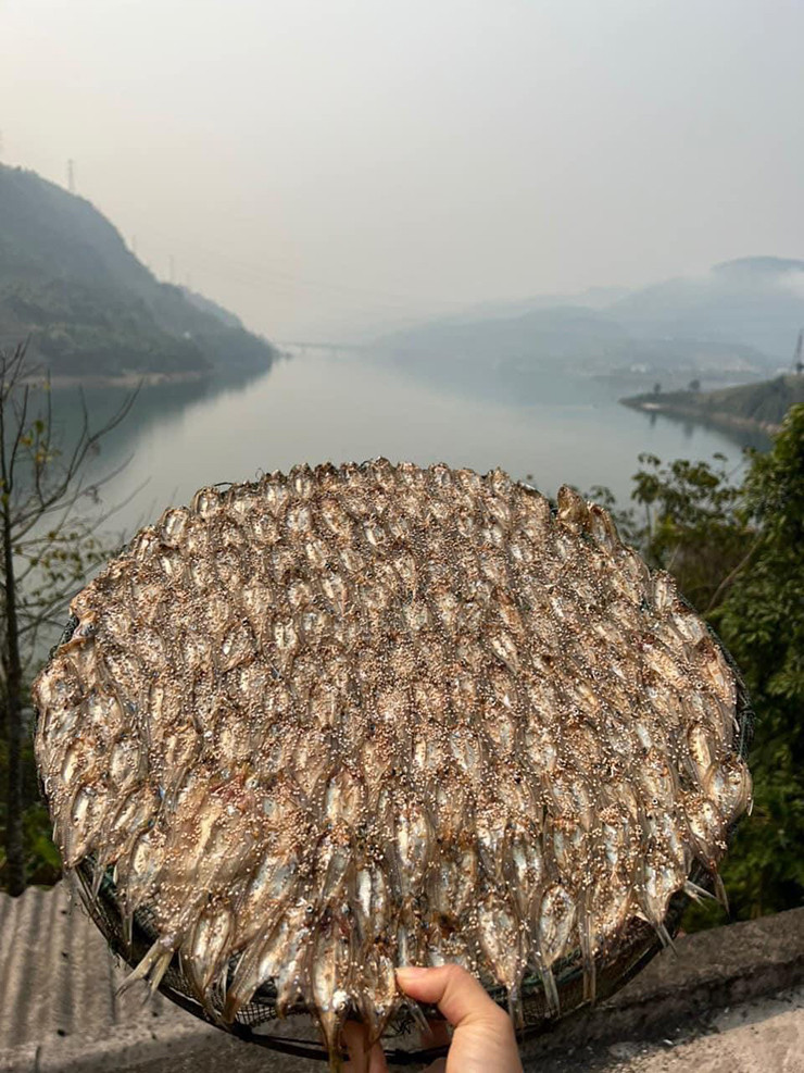 Vài năm gần đây, người dân chế biến thành cá tép dầu khô bán ra thị trường với giá từ 200.000 - 300.000 đồng/kg. Ảnh: Facebook