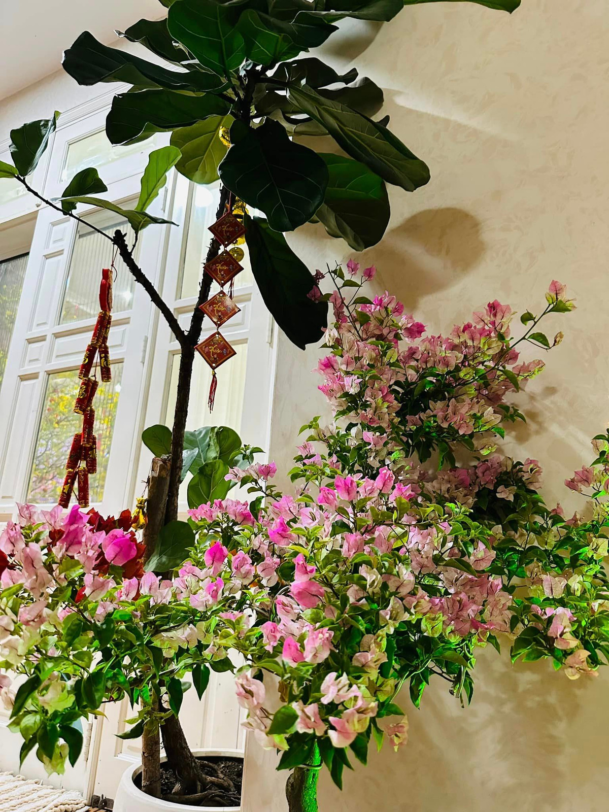 Góc nào cũng rực rỡ sắc hoa.