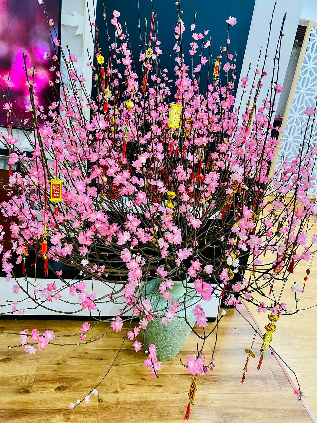 Phòng khách được tô điểm bởi cành đào đang khoe sắc.