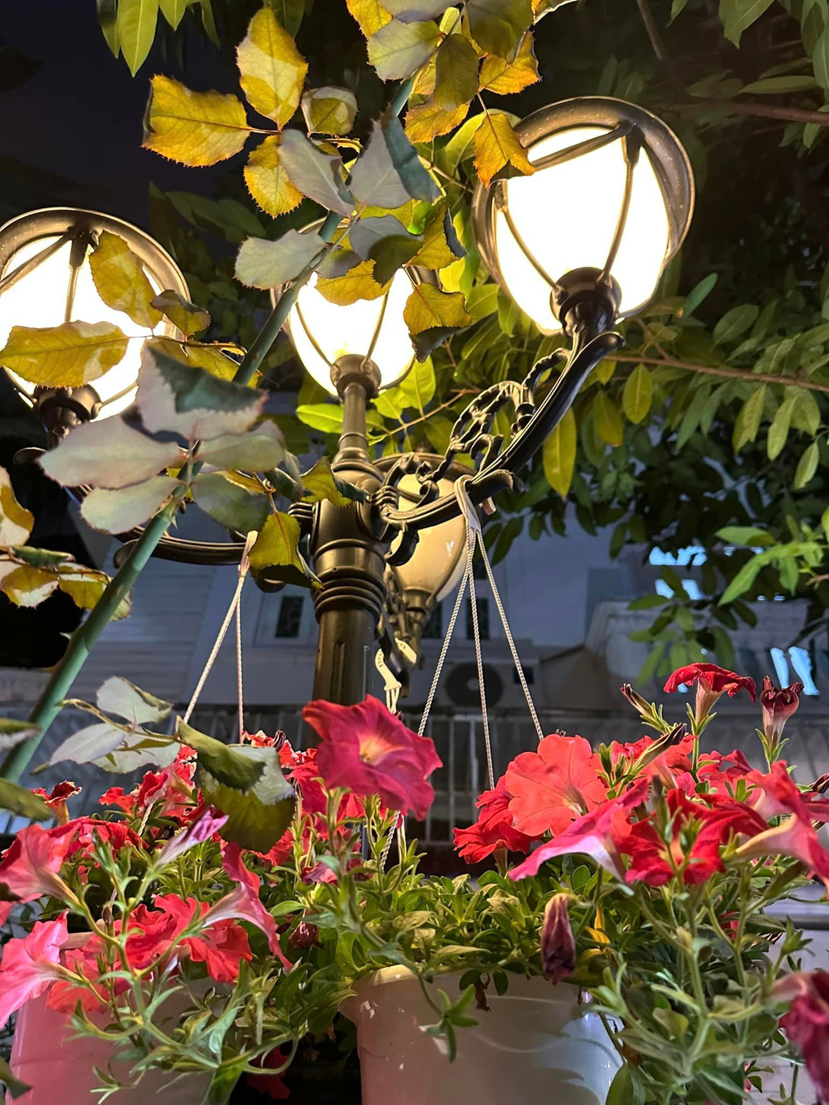 Nhờ đó, không gian biệt thự của Vy Oanh thêm sinh động, ngập sắc xuân.