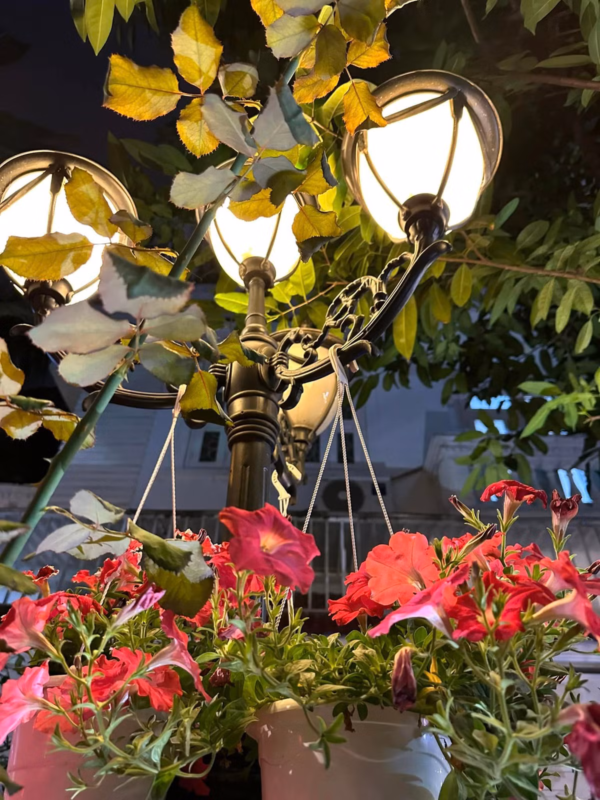 Nhờ đó, không gian biệt thự của Vy Oanh thêm sinh động, ngập sắc xuân.