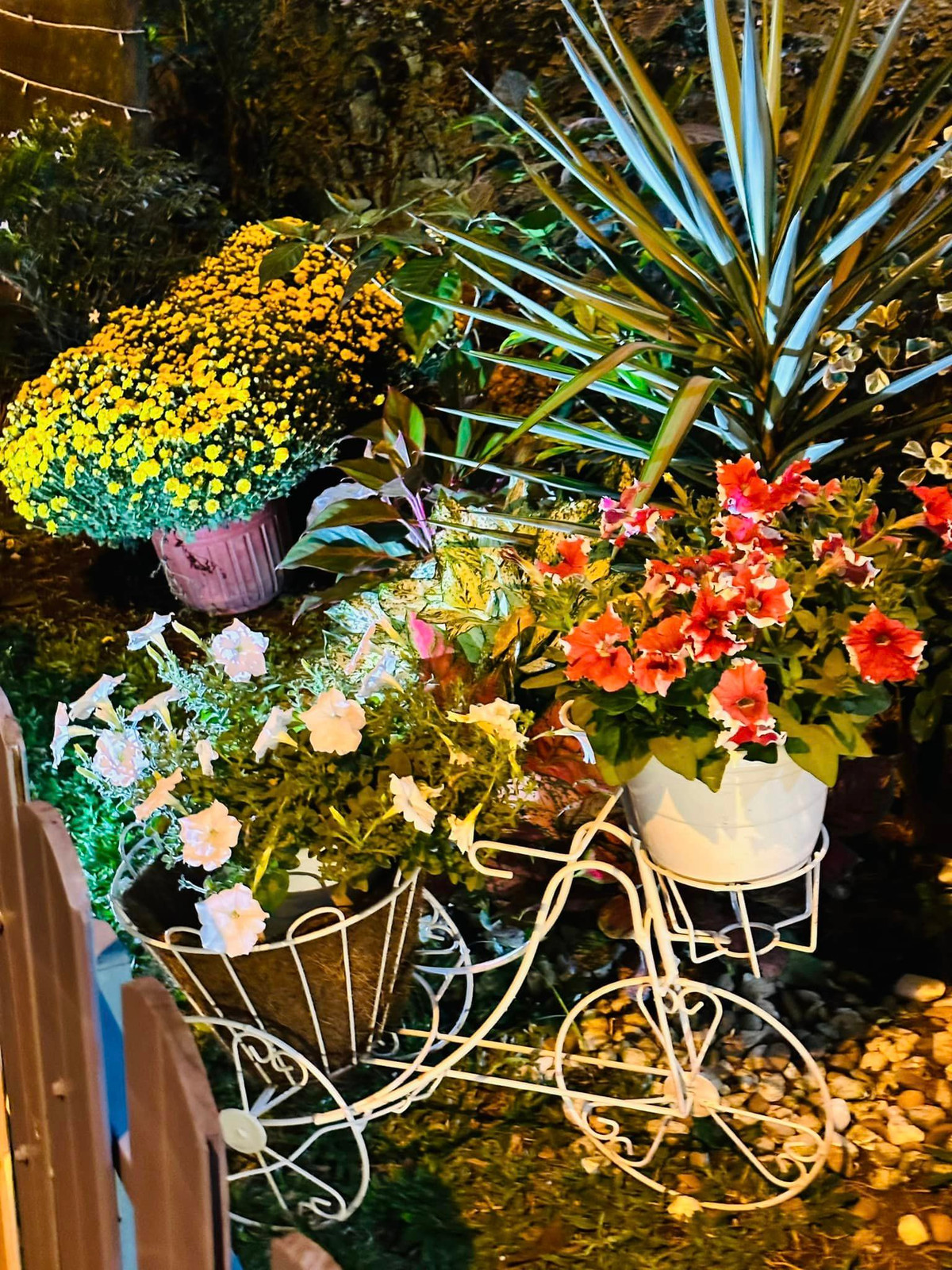 Ngoài những khóm hoa có sẵn, ca sĩ Vy Oanh còn mua thêm một số gánh, chậu hoa cúc về đặt quanh nhà.