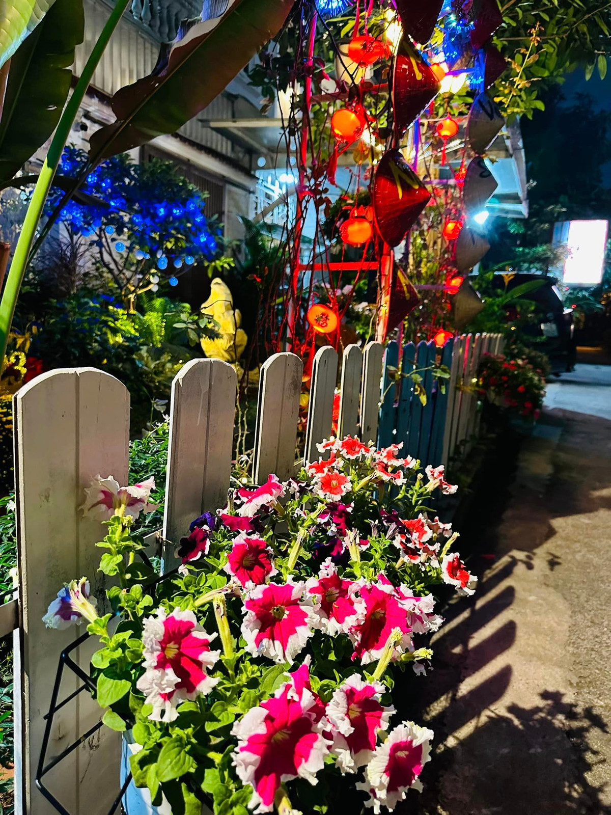 Cổng chính trồng nhiều loại hoa, đủ sắc màu đan xen như đỏ, trắng, tím...