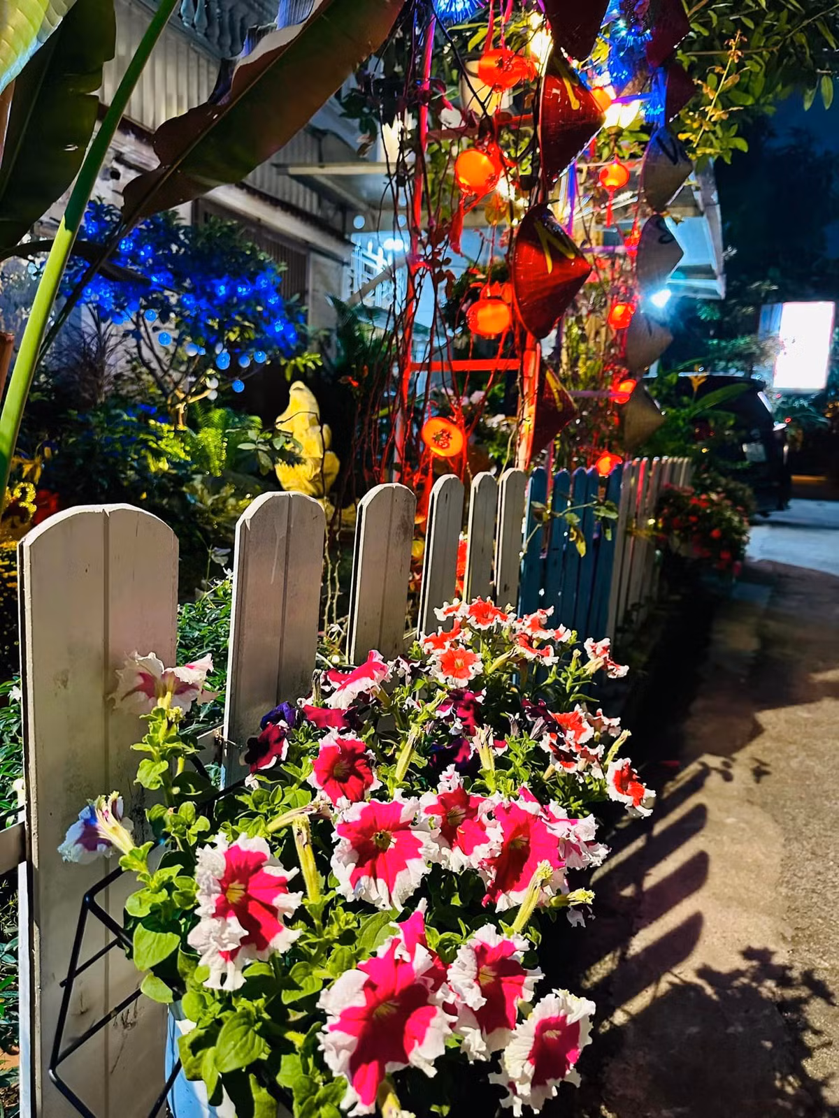 Cổng chính trồng nhiều loại hoa, đủ sắc màu đan xen như đỏ, trắng, tím...