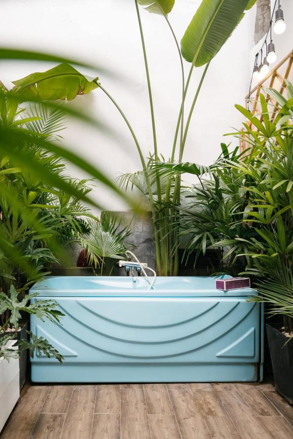 Vì không có nhu cầu ở đến nên Bạch Lan Phương muốn cho thuê lại.