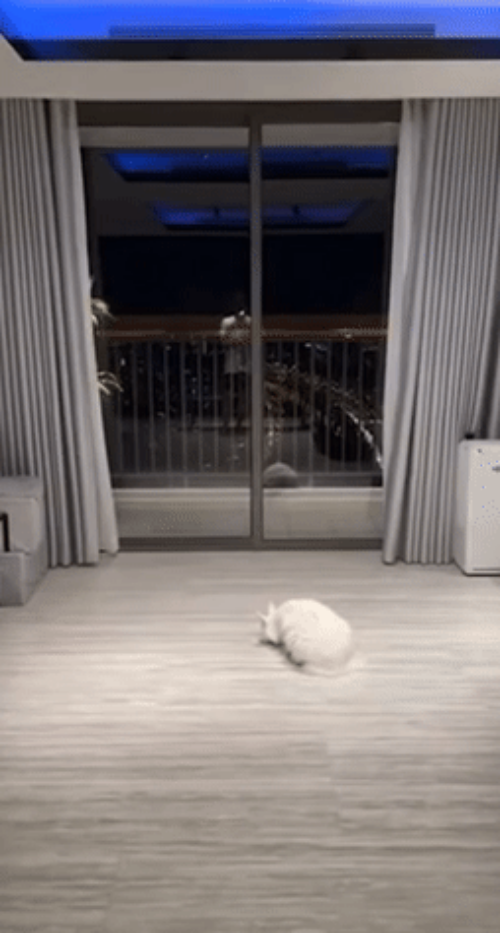 Toàn bộ thiết kế và tông màu trong nhà đều được nam MC lựa chọn, sắp xếp rất tỉ mỉ.