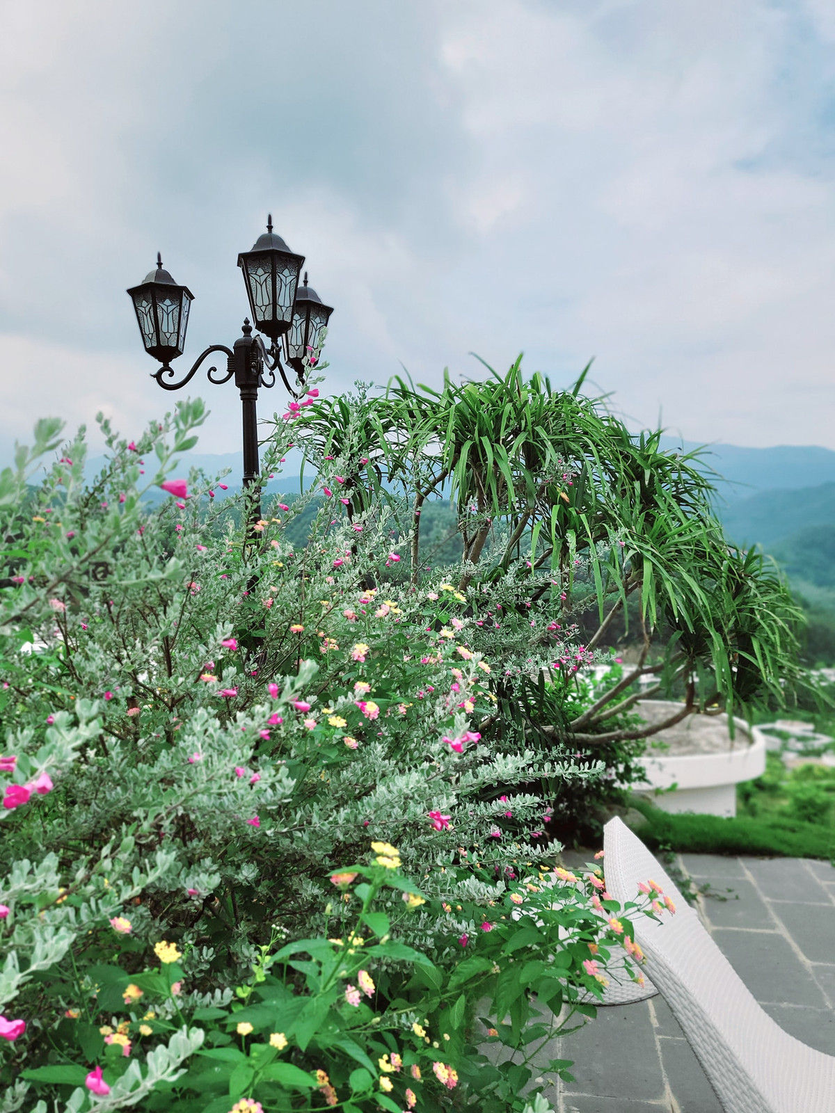 Đủ các loại hoa đua nhau khoe sắc cho không gian biệt thự của Mạnh Trường thêm lãng mạn.