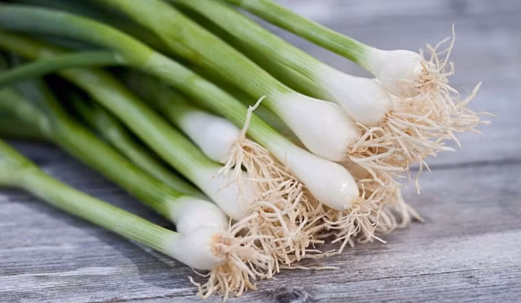 Tại nước ta, hành lá có giá chỉ khoảng vài nghìn đồng/bó, đôi khi còn được tặng kèm miễn phí khi bạn mua nhiều đồ. Ảnh: Internet