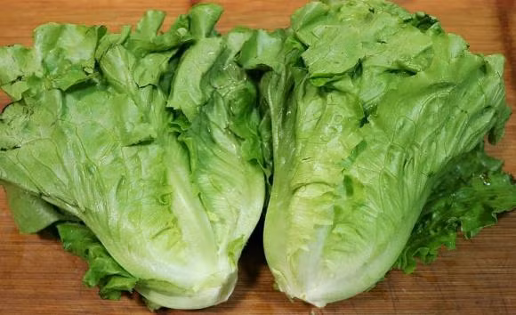 Tại nhiều siêu thị ở Nhật, rau xà lách được liệt vào hàng rau “cao cấp”, có giá từ khoảng 70.000 đồng/bó. Ảnh: Internet