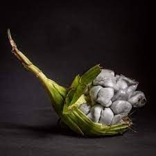 Đáng chú ý, các nhà khoa học đã chứng minh huitlacoche thậm chí còn có giá trị dinh dưỡng cao hơn cả bắp ngô. Vì vậy, những bắp ngô nhiễm nấm trông xấu thậm tệ lại có mức giá cao hơn nhiều loại thường. Ảnh: Getty