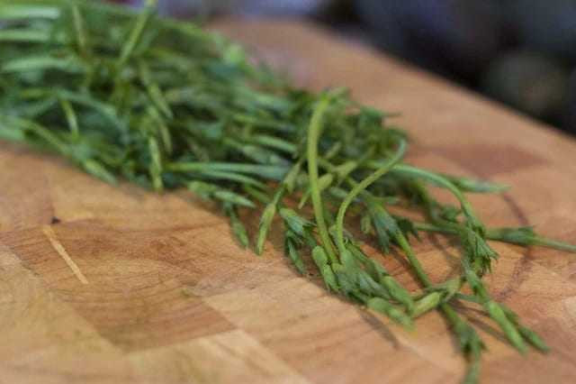 Chúng là ngọn màu xanh lá cây của cây hoa bia, được sử dụng để sản xuất đồ uống có cồn.