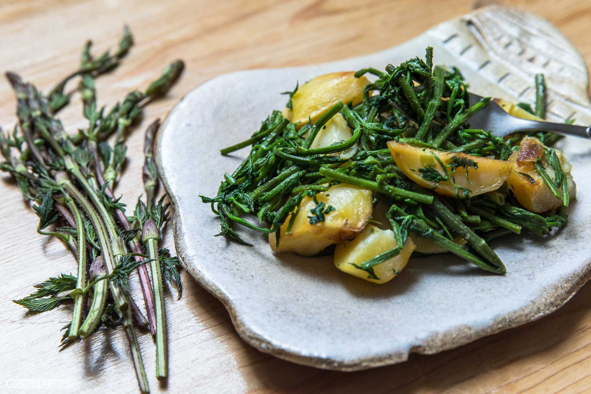 Ngày nay, chồi hoa bia được sử dụng để chế biến thành nhiều món ăn đặc sản đẳng cấp tại các nhà hàng, khách sạn. Nhiều đầu bếp trên thế giới xem chồi hoa bia như là một thứ nguyên liệu tuyệt vời để chế biến, làm nên tên tuổi của họ. Nguồn ảnh: Getty Image