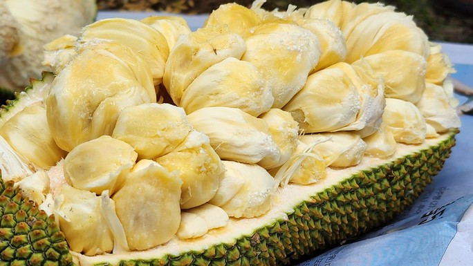 Đặc biệt, múi mít rất giống cơm sầu riêng. Ảnh: Người lao động