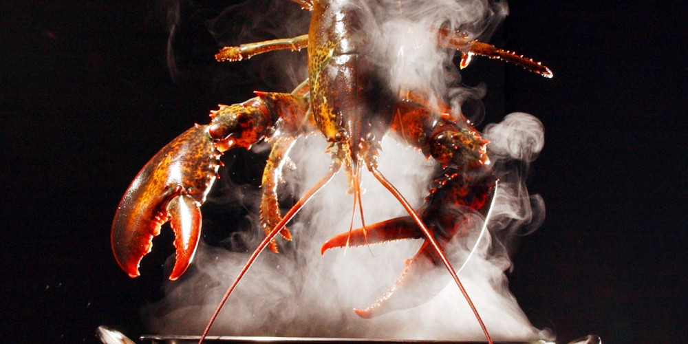 Tại khách sạn Le Parker Meridien, thành phố New York, thực khách có thể gọi món tôm hùm đắt nhất thế giới với giá khổng lồ 2.000 USD (hơn 47 triệu đồng). Ảnh: AP