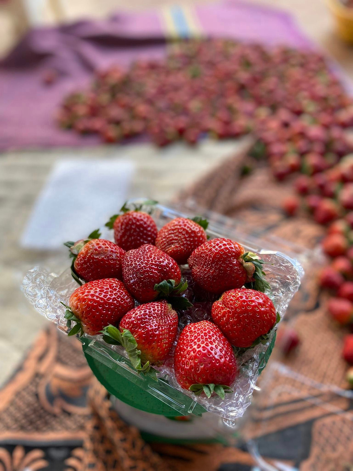 Hầu hết người bán đều giới thiệu là dâu tây nhập từ Mộc Châu hoặc Đà Lạt. Ảnh: Facebook