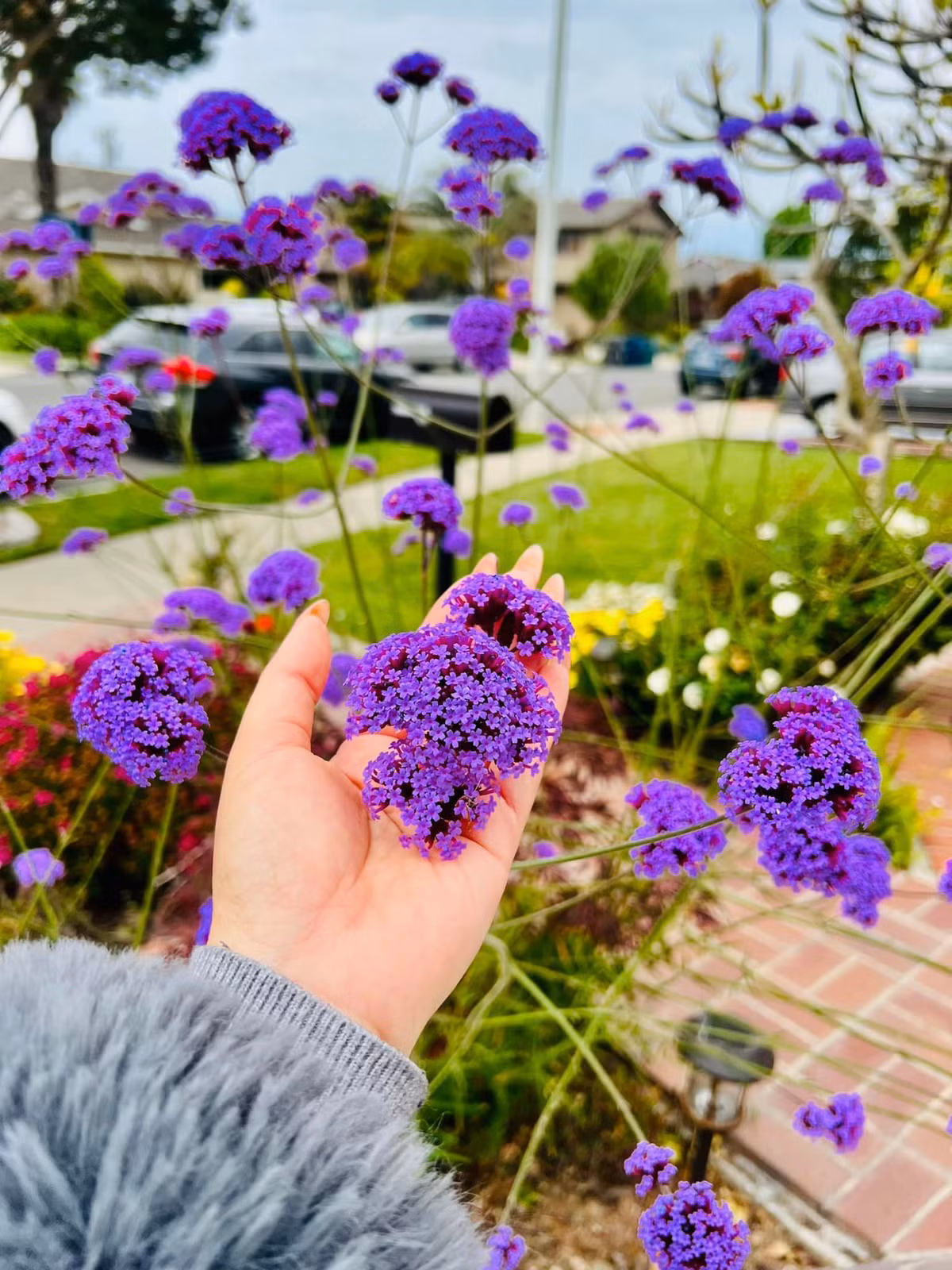 Là người yêu thiên nhiên nên Thuý Nga chú trọng việc xây vườn hoa trước nhà. Ảnh: FBNV