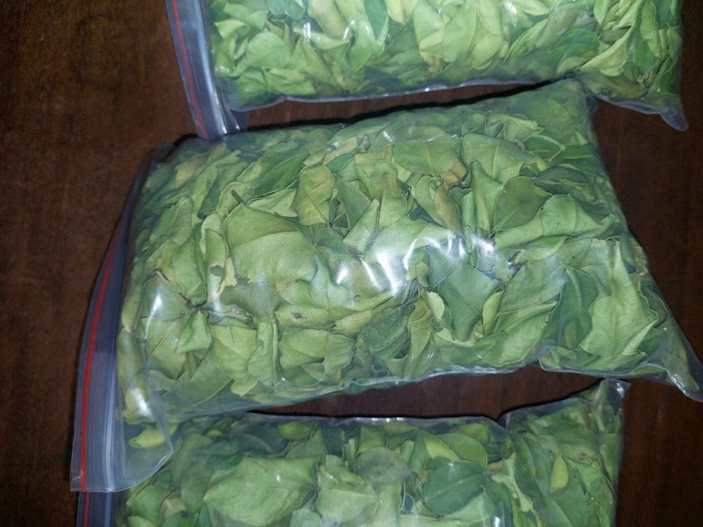 Lá chanh xuất sang thị trường nước ngoài thường phổ biến với 2 cách đóng gói. Một là đóng gói chung thành túi gia vị, bao gồm các loại khác như sả, ớt,...Hai là đóng thành túi dạng 15-25g. Ảnh: Internet