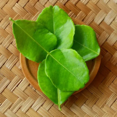 Về hương vị, lá chanh Thái có mùi thơm nồng hơn lá chanh ta, chua hơn mà không bị đắng hoặc mất mùi hương khi nấu quá lâu. Ảnh: Internet