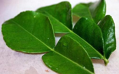 Bên cạnh đó, một số loại lá chanh Thái tươi, cao cấp hơn, giá lên tới 120.000 đồng/kg tùy thuộc vào chất lượng. Ảnh: Facebook