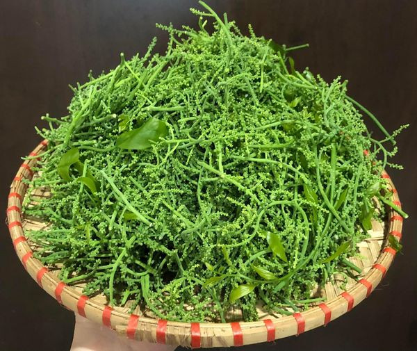 Rau ngót rừng vốn nổi tiếng thơm ngon, đậm hương vị tự nhiên nên được nhiều người lùng mua. Thế nhưng, hoa rau ngót rừng còn ngon gấp chục lần.