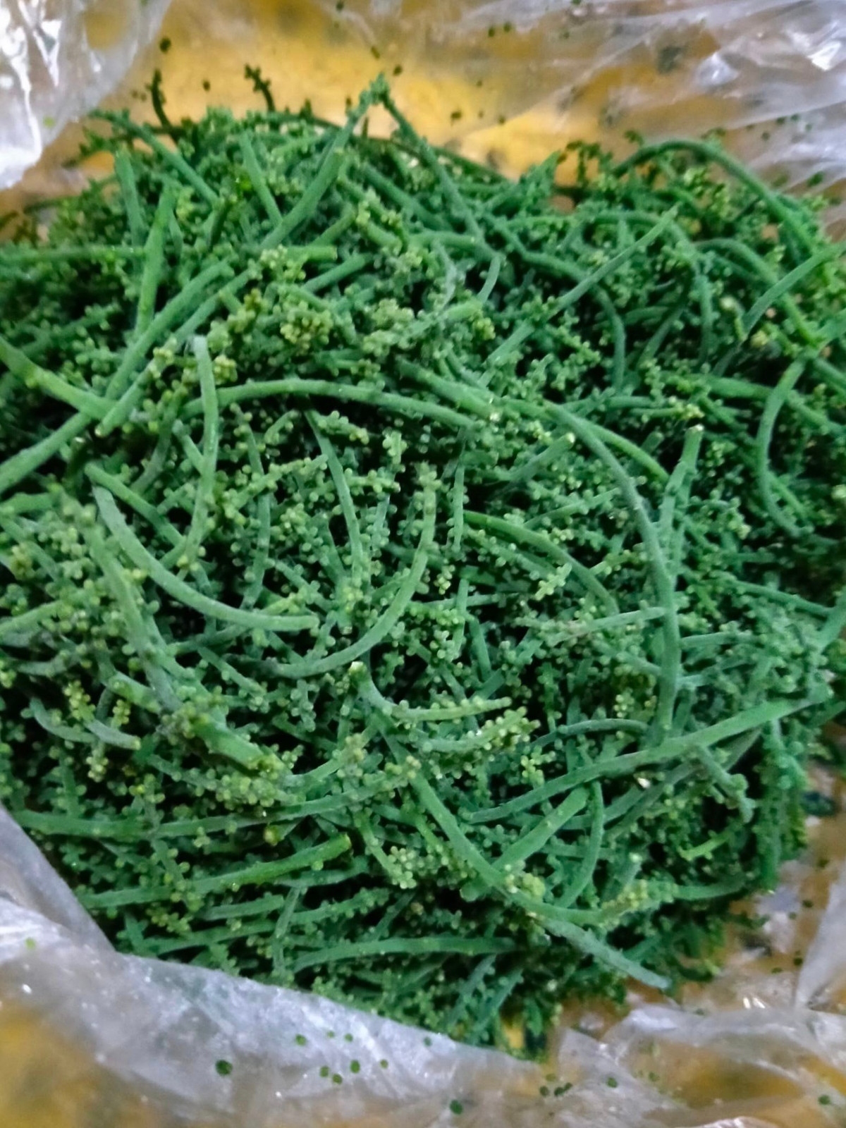 Vào dịp cuối mùa, thay vì mua rau, nhiều chị em lùng mua hoa rau ngót rừng dù giá bán đắt hơn nhiều lần.