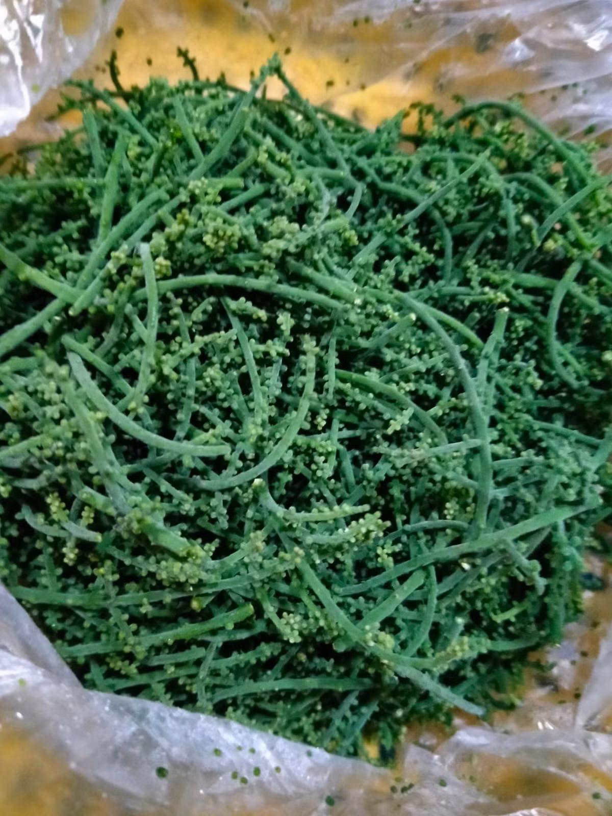 Vào dịp cuối mùa, thay vì mua rau, nhiều chị em lùng mua hoa rau ngót rừng dù giá bán đắt hơn nhiều lần.