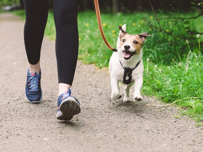 Hơn 1/3 số người khảo sát cho biết họ thường xuyên mua thực phẩm và đổ rác, trong khi 40% trong số họ nấu ăn và dắt chó đi dạo. Business Insider