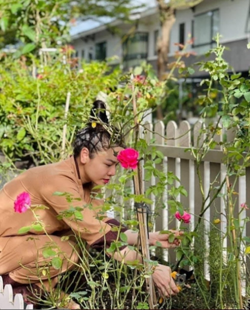 Nhiều giống hoa hồng khác nhau được diễn viên Nhật Kim Anh mua về, vun trồng và chăm sóc, ra hoa rất sai.