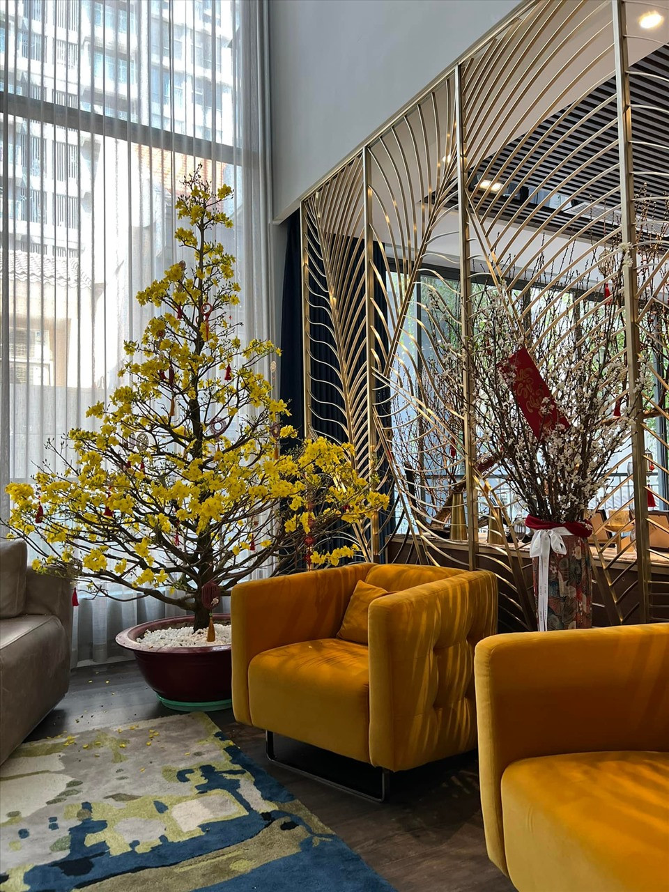 Cây mai vàng nổi bật trong nhà.