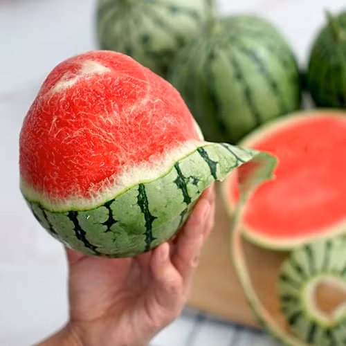 Dưa hấu mini phù hợp với sở thích tiêu dùng của các hộ gia đình ít người.