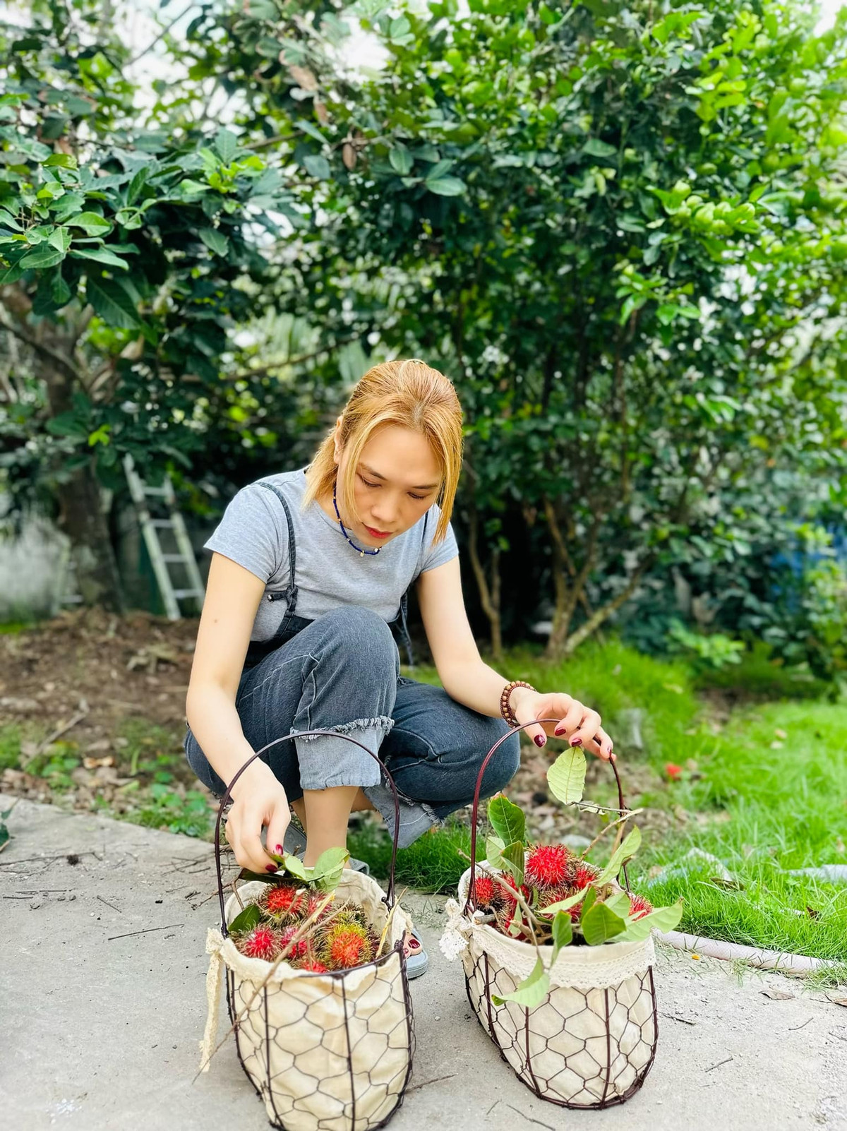 Nữ ca sĩ đứng giữa khu vườn xanh mướt, 2 tay 2 giỏ chôm chôm chín trông rất "đã mắt".