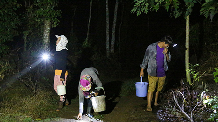 Ở nhiều nơi, khi trời tối người dân lại rủ nhau đi săn ốc núi về bán. Vào mùa, mỗi người có thể bắt được vài chục cân, cho thu nhập từ 800.000 đến trên 1 triệu đồng/đêm. Ảnh: Dân Việt