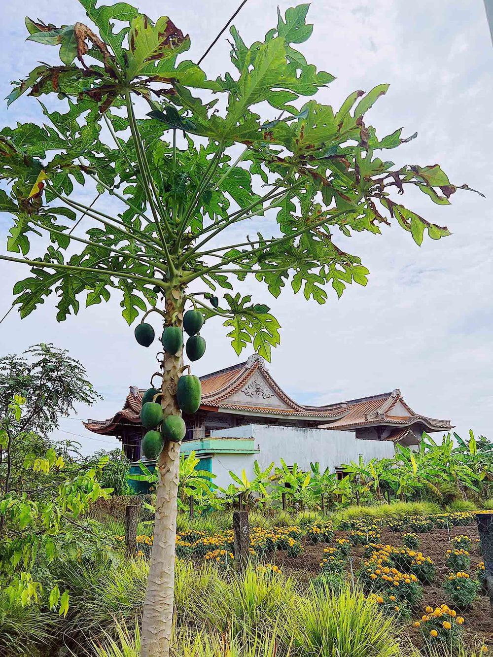 Nhưng giờ đây, ngay bên cạnh nhà cũ là không gian mới hoành tráng hơn gấp nhiều lần.