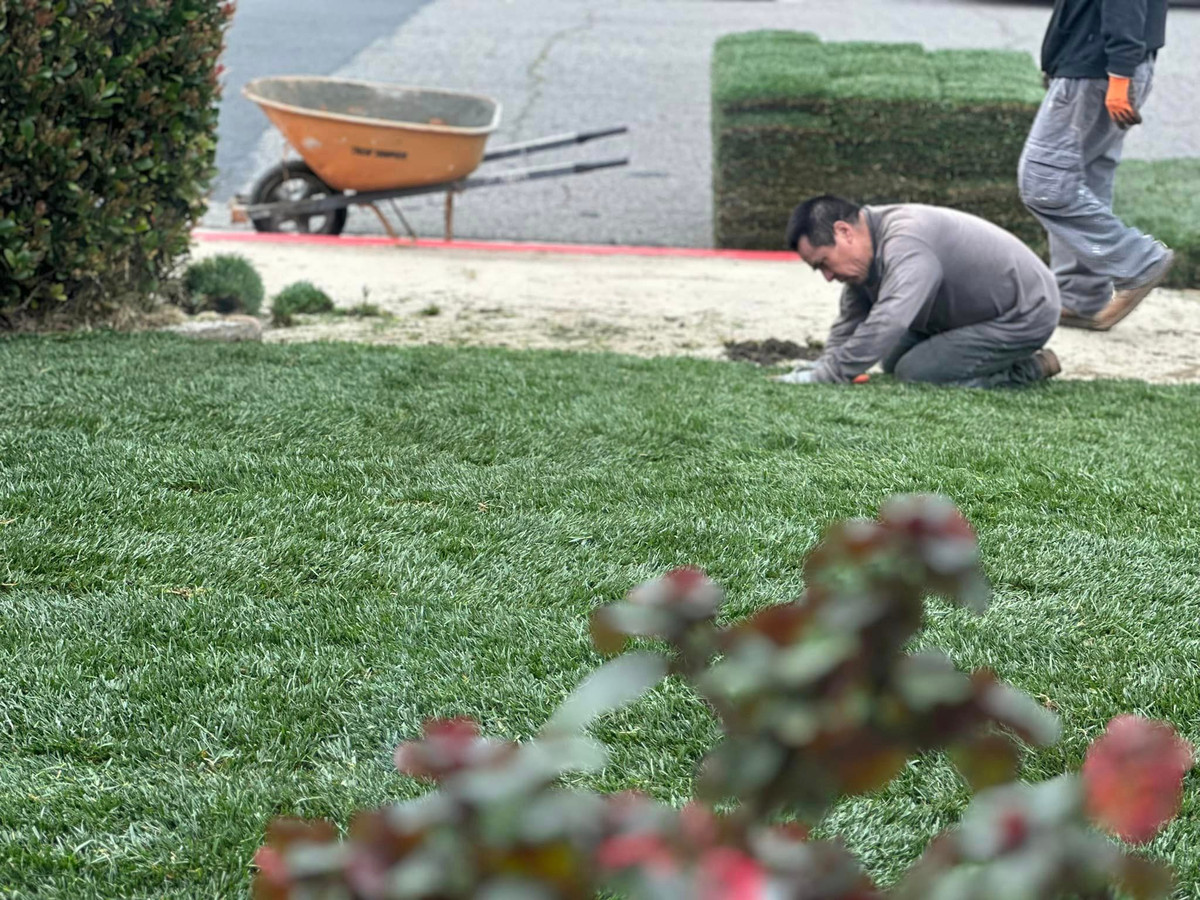 Kim Hiền tiết lộ, thời gian gần đây, cô không cập nhật bài viết trên trang cá nhân vì bận "thay áo mới cho xung quanh ngôi nhà bằng cỏ".