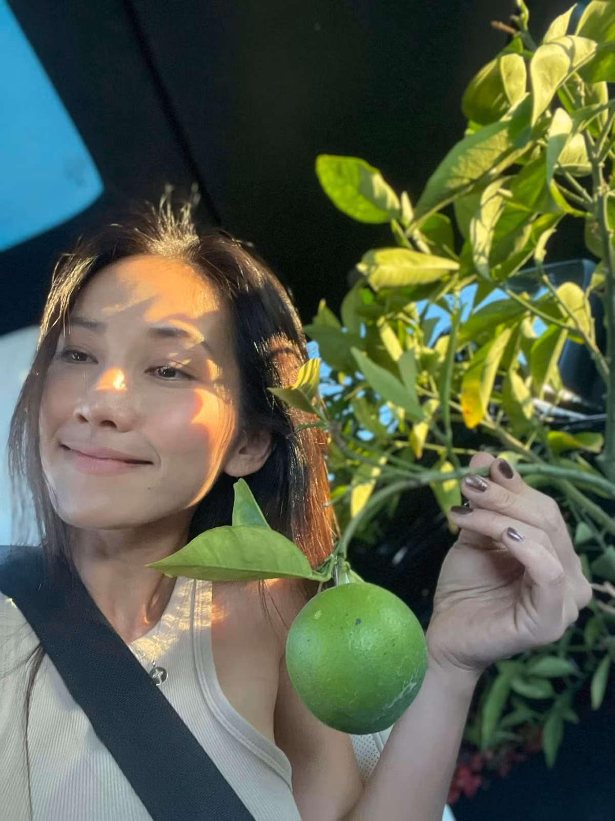 Với khu vườn này, Kim Hiền có thể tự cung tự cấp nguyên liệu cho mỗi bữa ăn mà không cần phải đi ra ngoài sắm sửa.