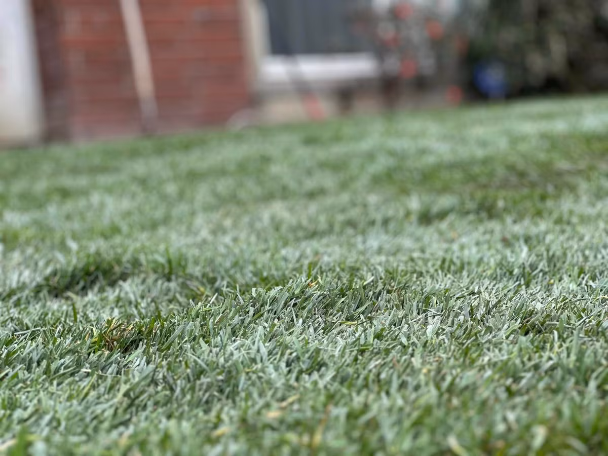 Nơi ngập tràn cỏ xanh này là nơi vui đùa của lũ trẻ. Đây cũng là khoảng trời riêng để nữ diễn viên cân bằng cảm xúc sau một ngày làm việc vất vả.