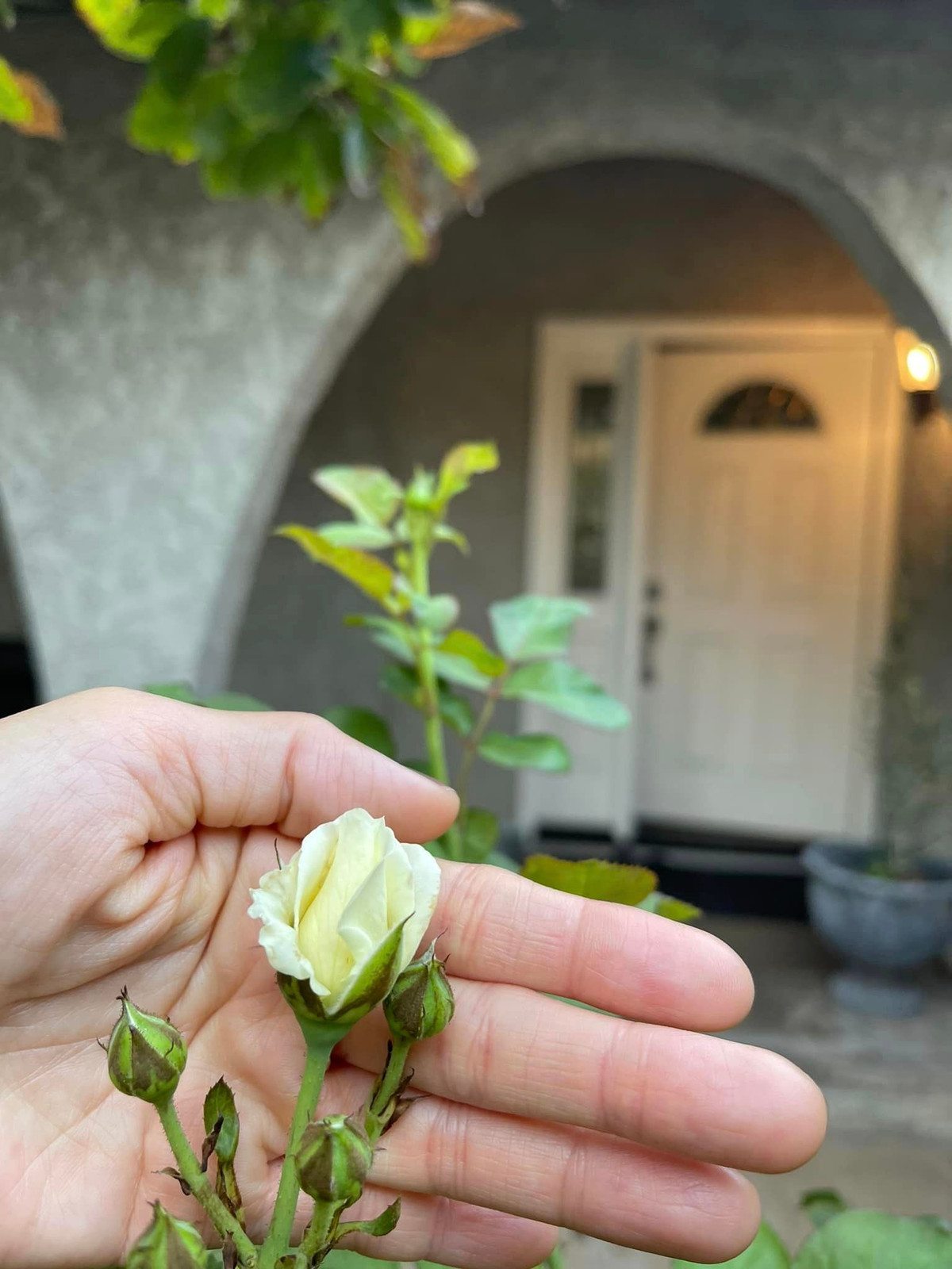 Gần 10 năm định cư nơi xứ người, Kim Hiền đang có cuộc sống giàu sang và hạnh phúc.