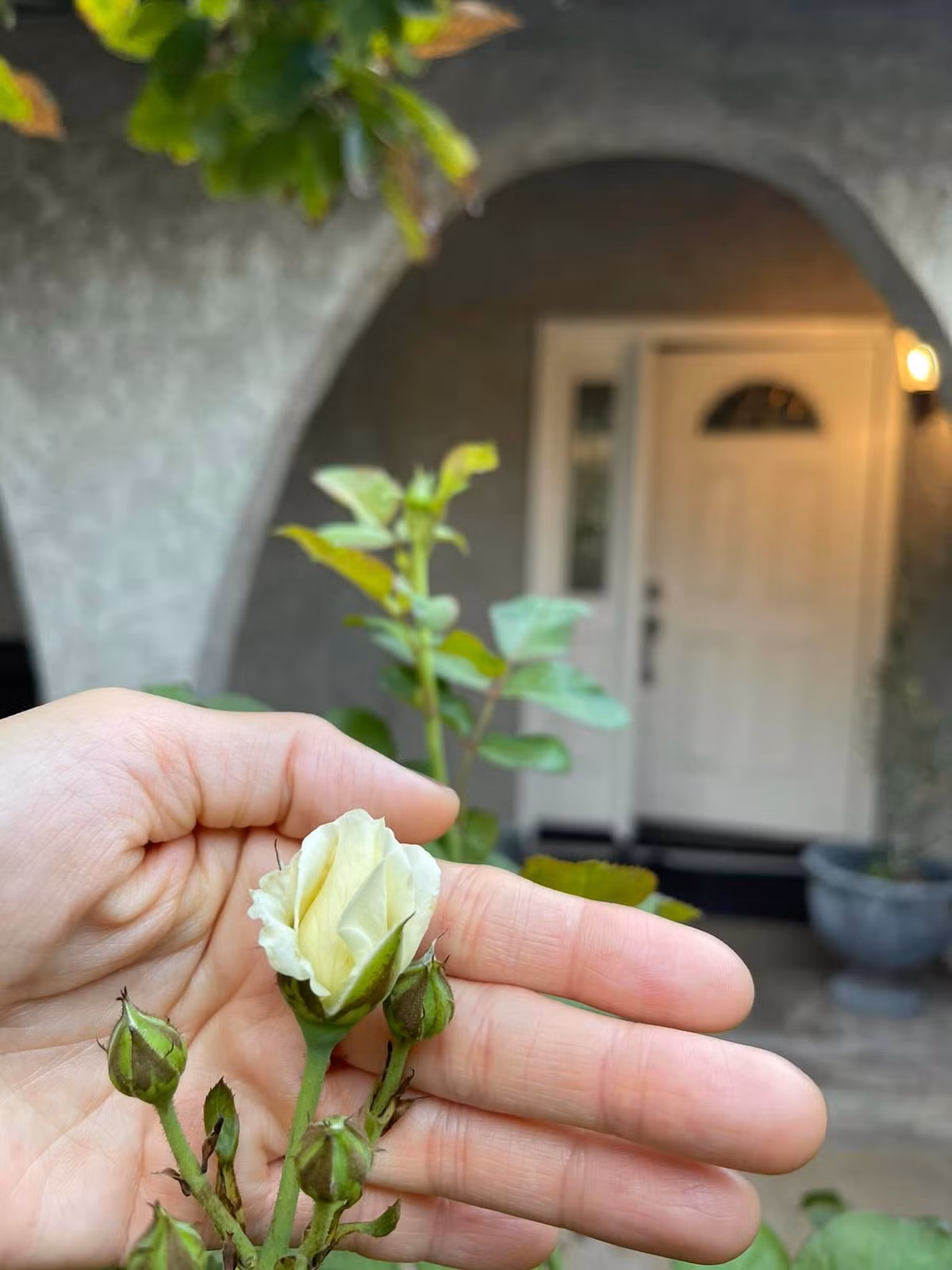 Gần 10 năm định cư nơi xứ người, Kim Hiền đang có cuộc sống giàu sang và hạnh phúc.