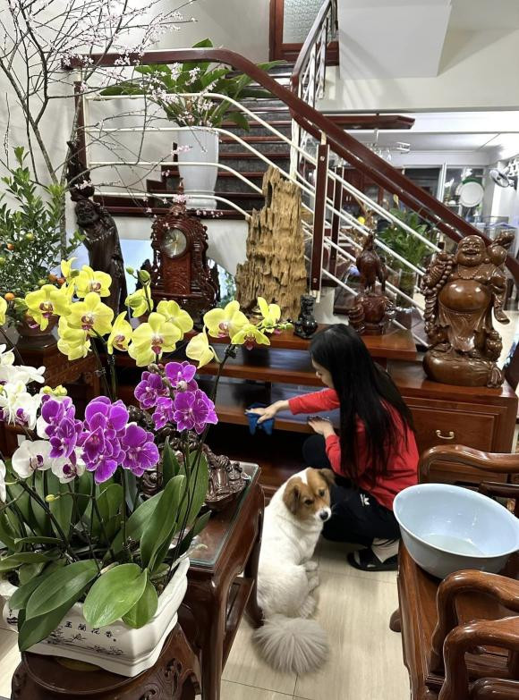 Đây cũng là lần hiếm hoi Trịnh Thùy Linh khoe cơ ngơi gia đình tại Thanh Hóa. Có thể thấy, ngôi nhà của Á hậu 1 Hoa hậu Việt Nam 2022 khá khang trang, chuẩn "gia đình có điều kiện".