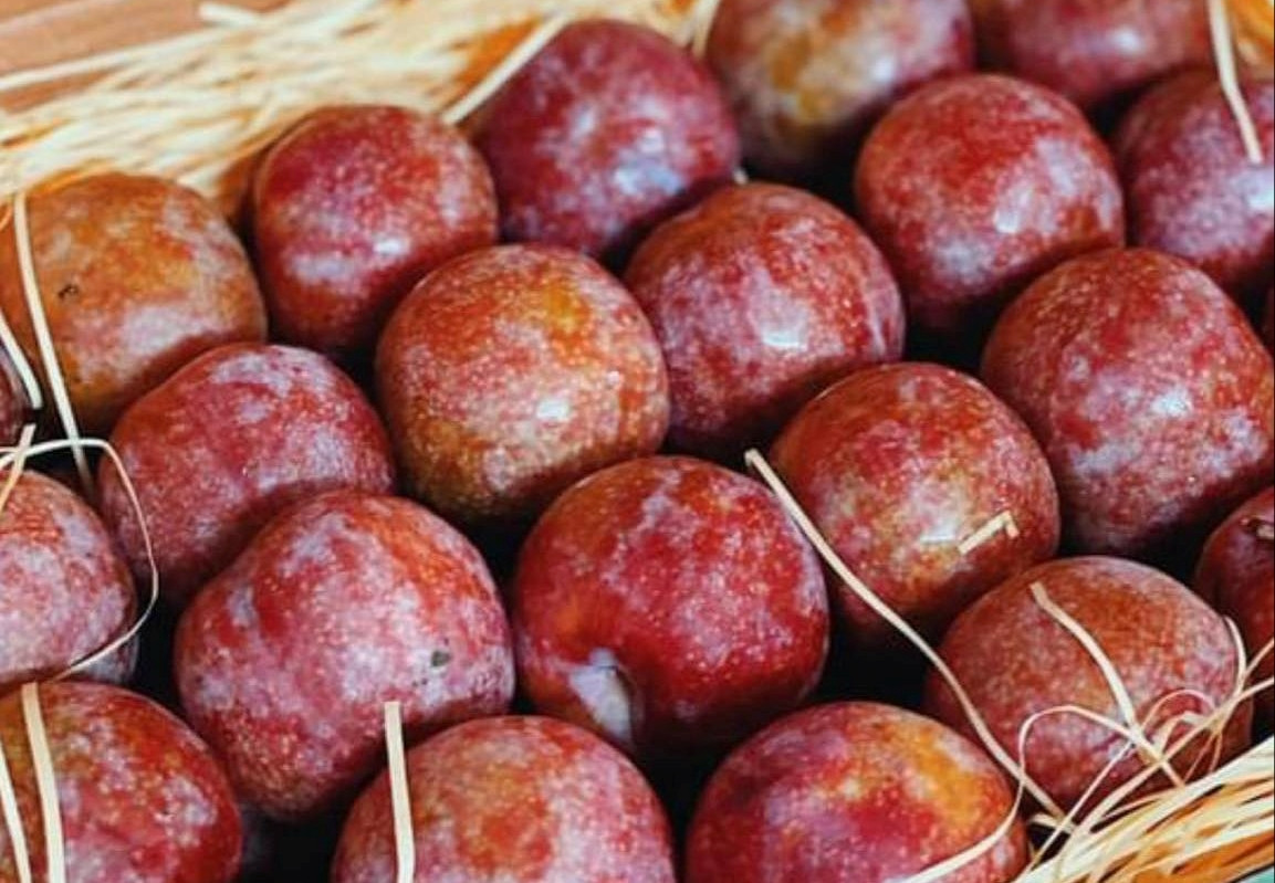 Đặc biệt, nhờ được bảo quản kỹ lưỡng sau khi hái, những quả mận Ruby Sơn La giữ nguyên lớp phấn trắng bên ngoài, điều mà phần lớn các loại mận khác trên thị trường không có được. Ảnh: Mia Fruit