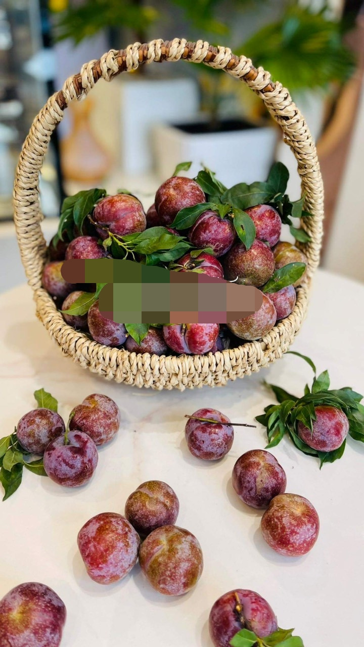 Mận Ruby to đồng đều, chín đỏ sẵn, căng bóng, 1kg sẽ có khoảng 28-30 trái. Ảnh: Mia Fruits