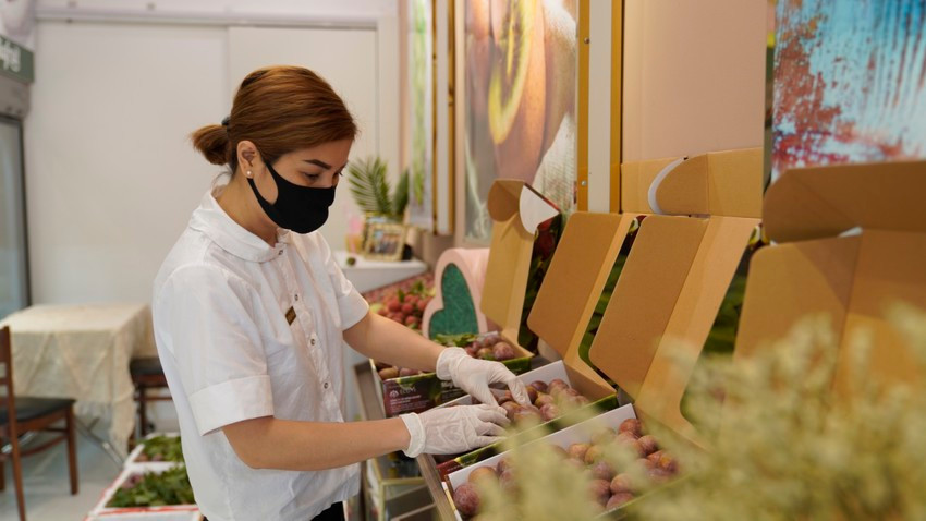 Chia sẻ trên Plo, bà Nguyễn Ngọc Huyền, Giám đốc điều hành Mia Group cho biết, đơn vị này đang xuất khẩu mận Ruby sang thị trường Hong Kong với sản lượng mỗi tuần 1 tấn. Ảnh: Plo