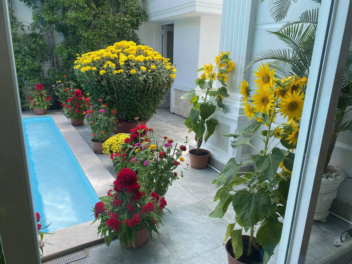 Căn nhà có 2 tầng lầu và có tông màu trắng chủ đạo, được thiết kế hiện đại, trồng nhiều hoa xung quanh. Ảnh: Vietnamnet