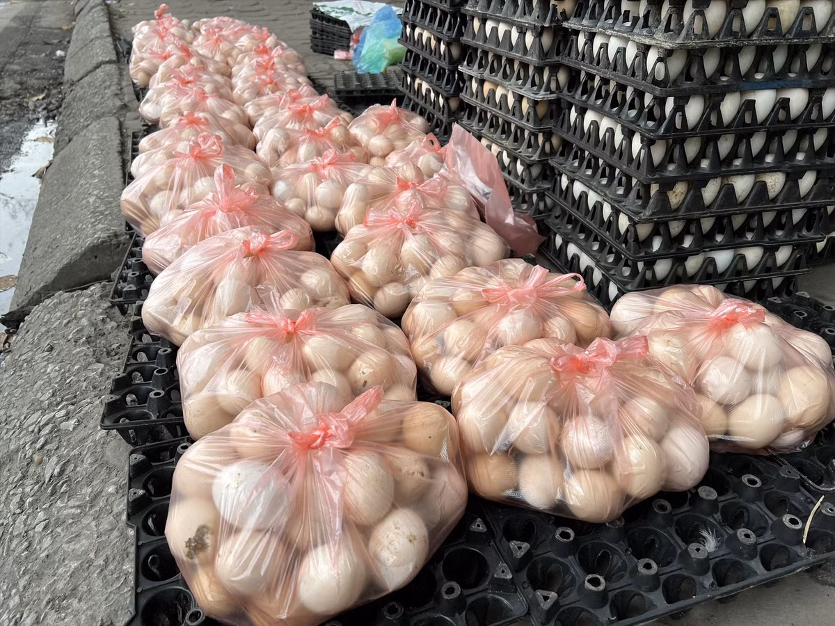 Tuy nhiên, trả lời VTC News, ông Dương Tất Thắng, Cục trưởng Cục Chăn nuôi (Bộ Nông nghiệp và Phát triển Nông thôn) cho biết, hiện nay mức độ tiêu thụ trứng gà so với trước Tết có giảm nhưng chưa đến nỗi ế, thừa đến mức phải "giải cứu". Ảnh; Lao động