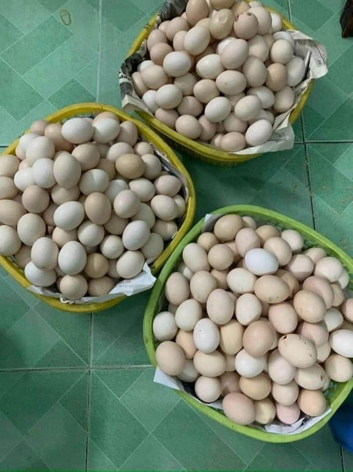 Các chuyên gia cho biết, chiêu trò "giải cứu" diễn ra thường xuyên, phổ biến sẽ gây tác hại không nhỏ đối với nông sản Việt, nhất là niềm tin của người tiêu dùng với nông sản, thực phẩm trong nước. Ảnh: Facebook