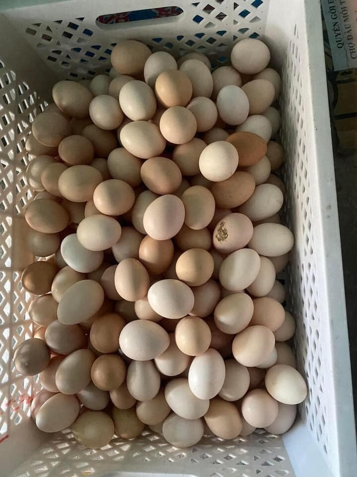 Việc làm này cũng sẽ hạ giá trị của nông sản Việt. Ảnh: Facebook