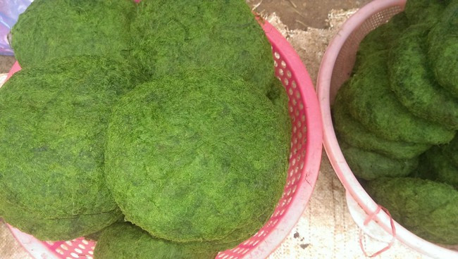 Rêu đá sau khi sơ chế được nặn thành từng tảng tròn, nặng trên dưới 1kg, giá dao động từ 20.000 - 30.000 đồng/nắm tùy từng vùng. Ảnh: Checkintravel